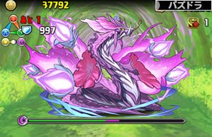 紫の華龍