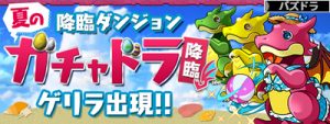 夏のガチャドラ降臨