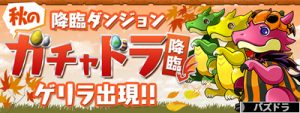 秋のガチャドラ降臨